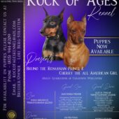 ROAK Litter Announcement Cherry Bruno