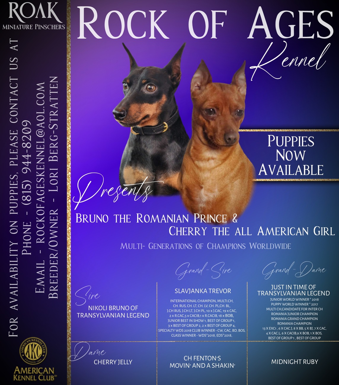 Miniature Pinscher Puppies - Image 4