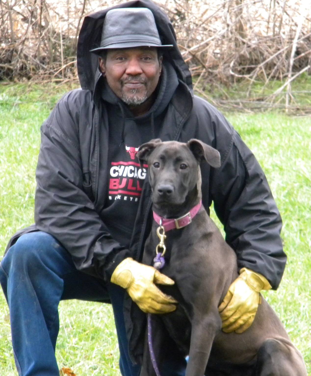 Canis Panther puppies for sale with a protective family dog demeanor