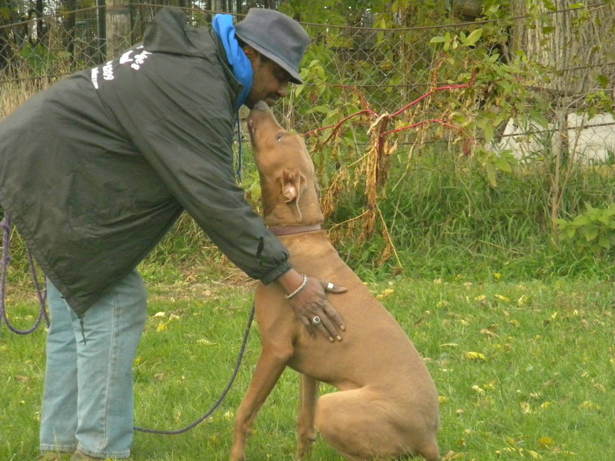 Dog Training Programs Momence IL