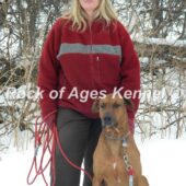 Private Dog Training Lessons in Momence, IL